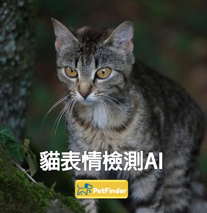 貓貓表情檢測AI