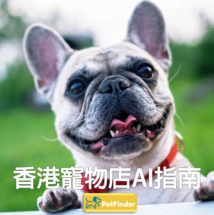 香港寵物店AI指南